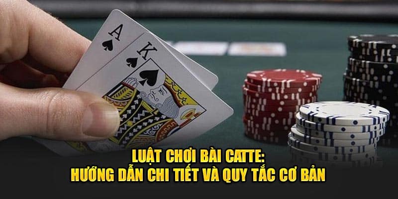 luat-choi-bai-catte-huong-dan-chi-tiet-va-quy-tac-co-ban